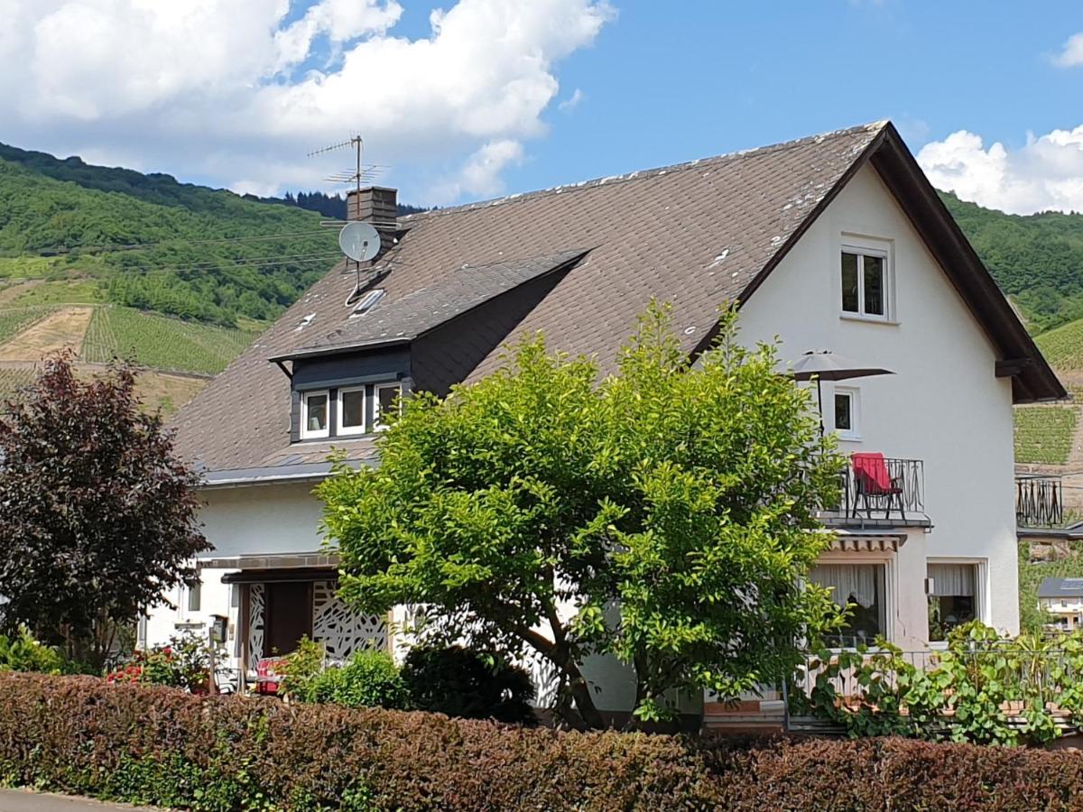 Schorn³ Appartements Целль-ан-дер-Мозель Экстерьер фото
